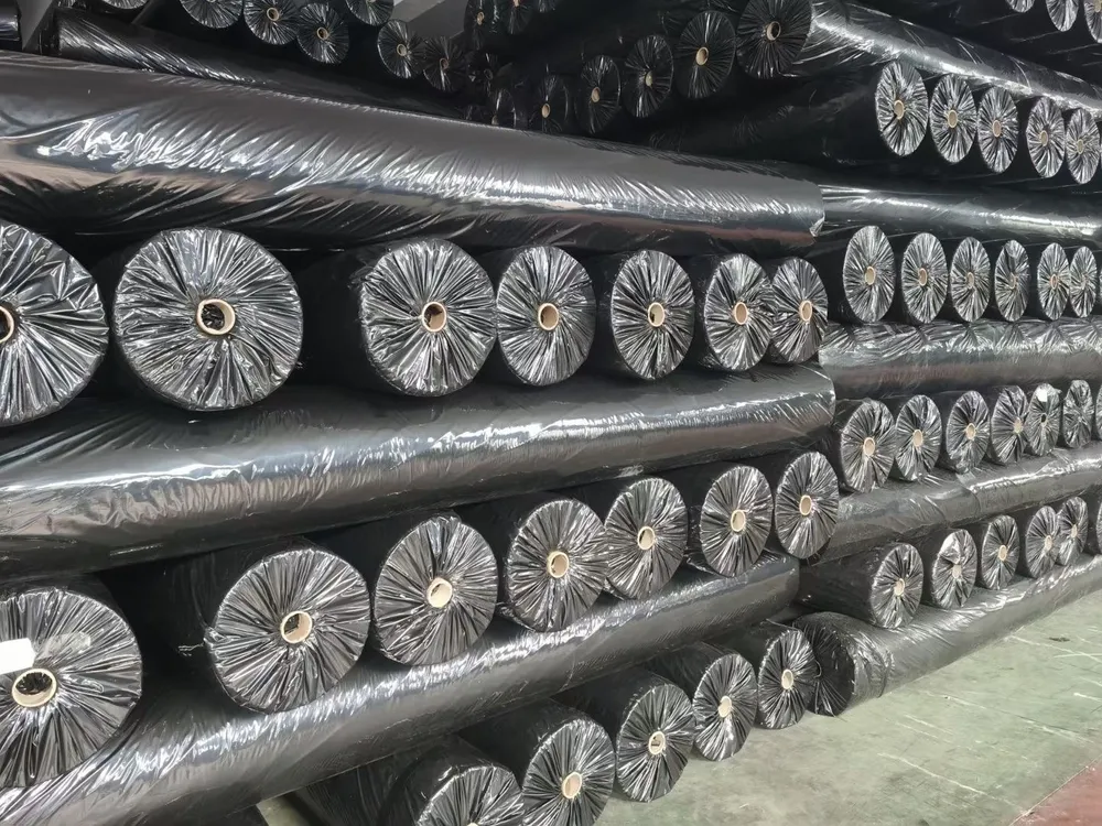 PET Needle-Punched Nonwoven Geotextile — Shipping & packaging