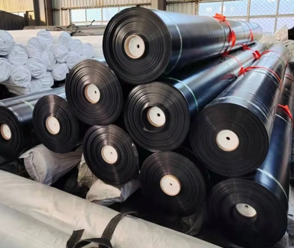 HDPE Geomembrane — More views