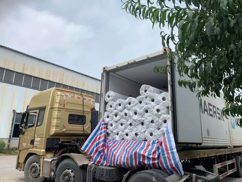 PE-Laminated GCL — Shipping & packaging